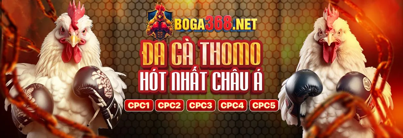 Q8BET thu thập thông tin người dùng an toàn